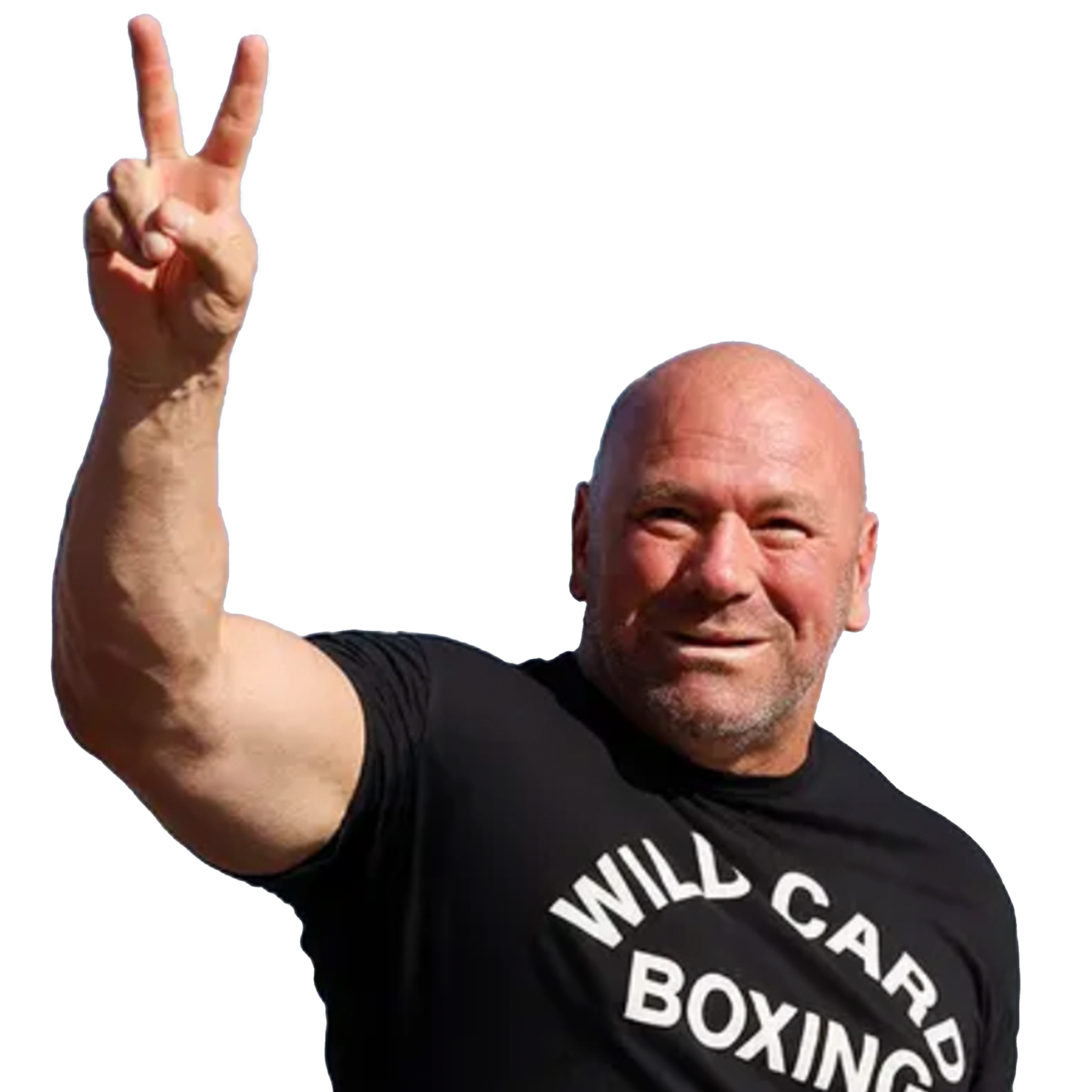 whitewith Fist in the Air